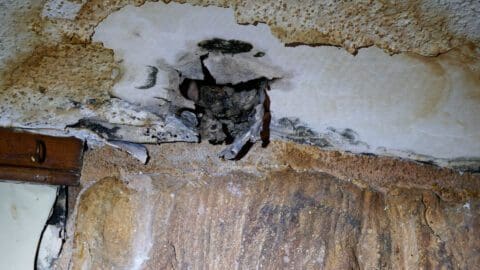 Recognizing the Signs of Roof Water Damage