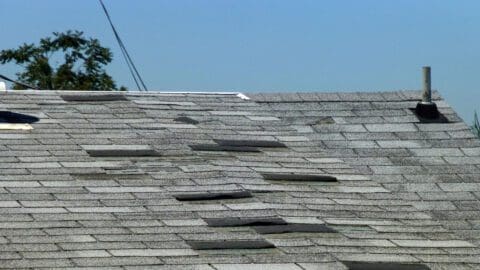 Roofing Maintenance