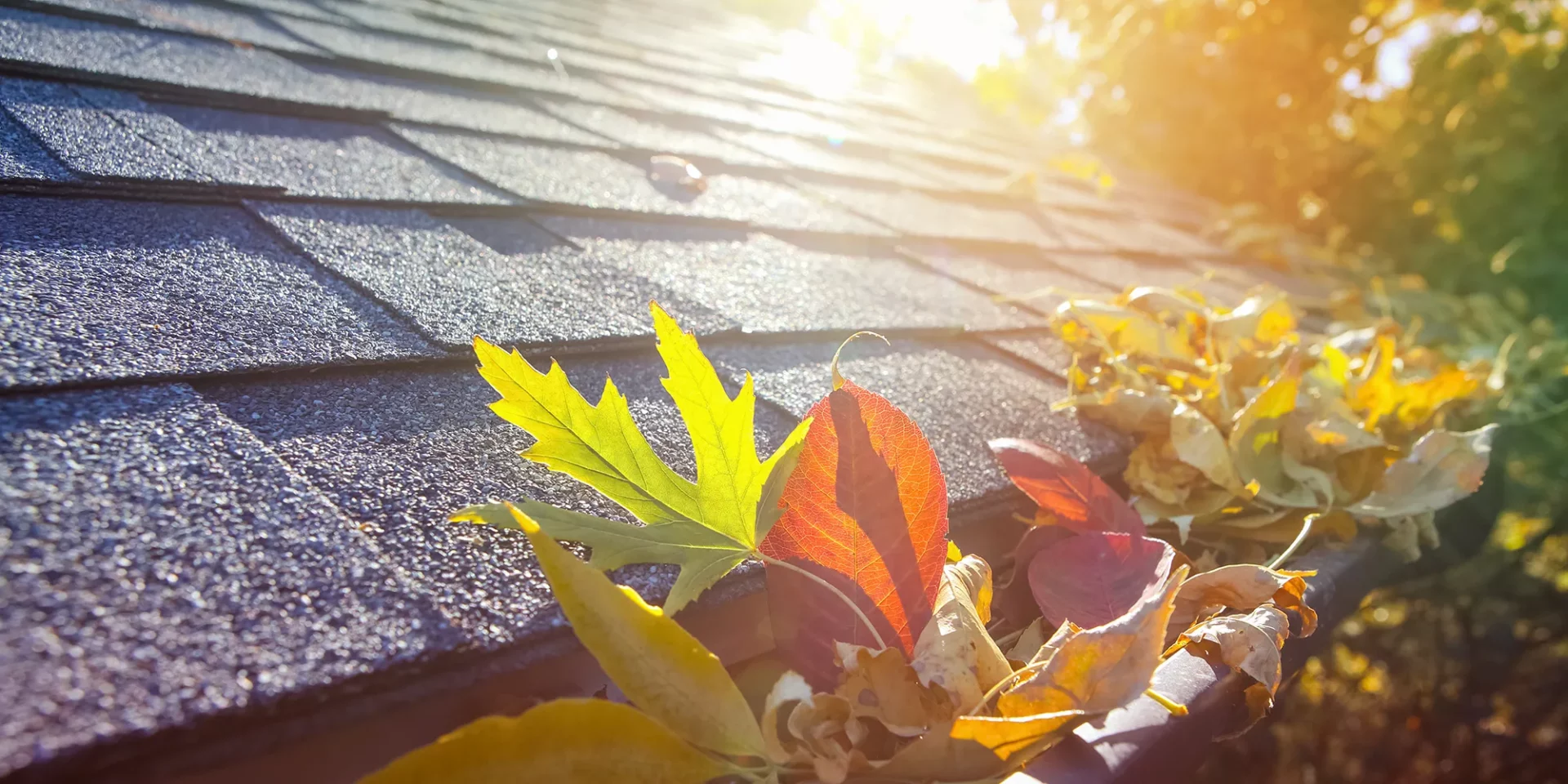 Roof Maintenance Tips For Fall - Gutters