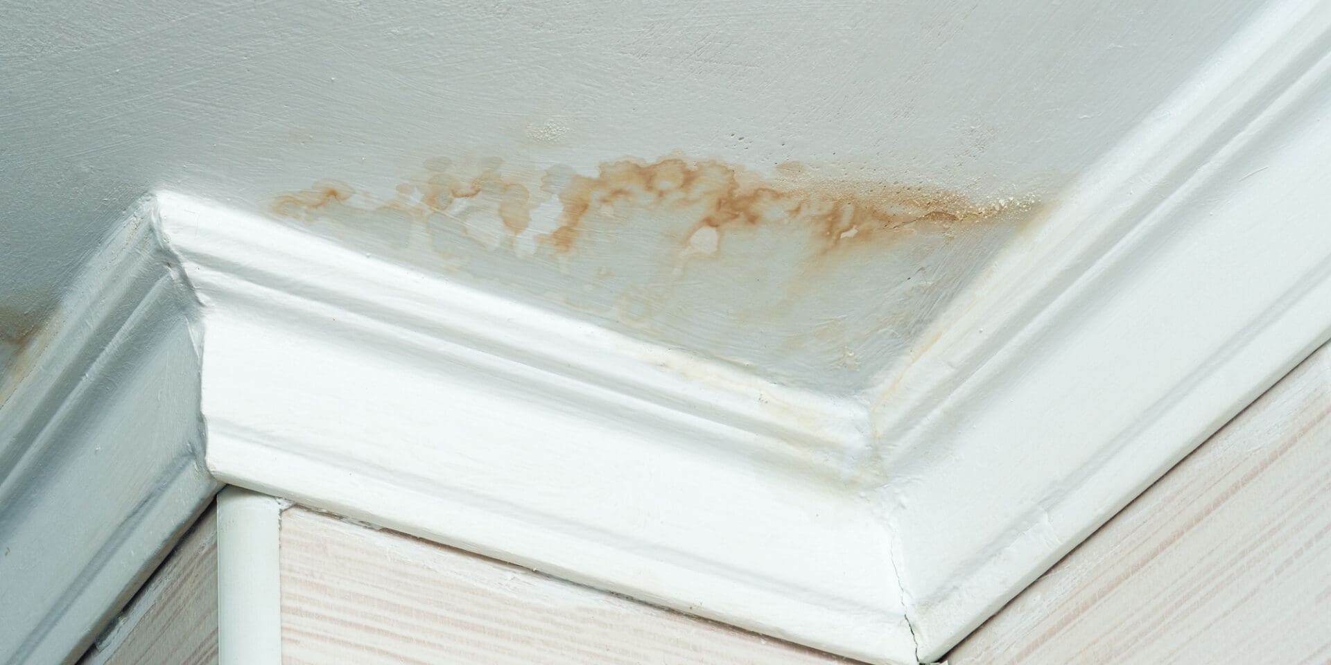Signs of a leaky roof