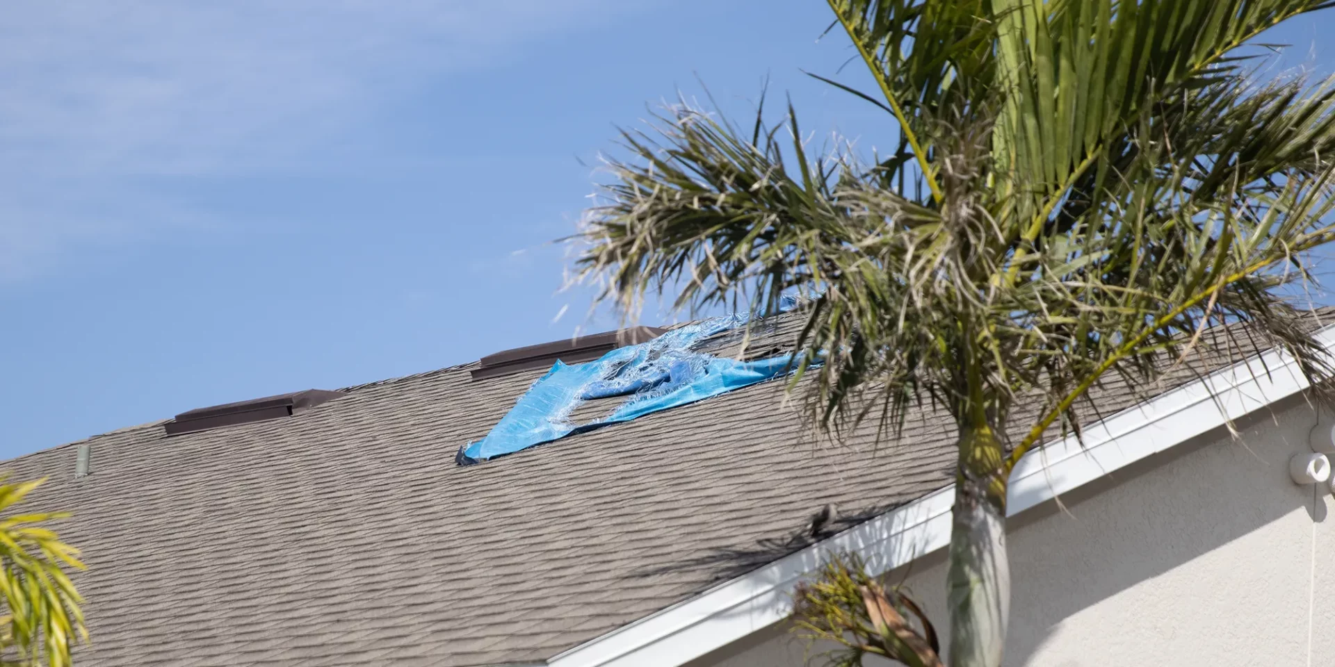 John Hogan Roof Replacement Florida