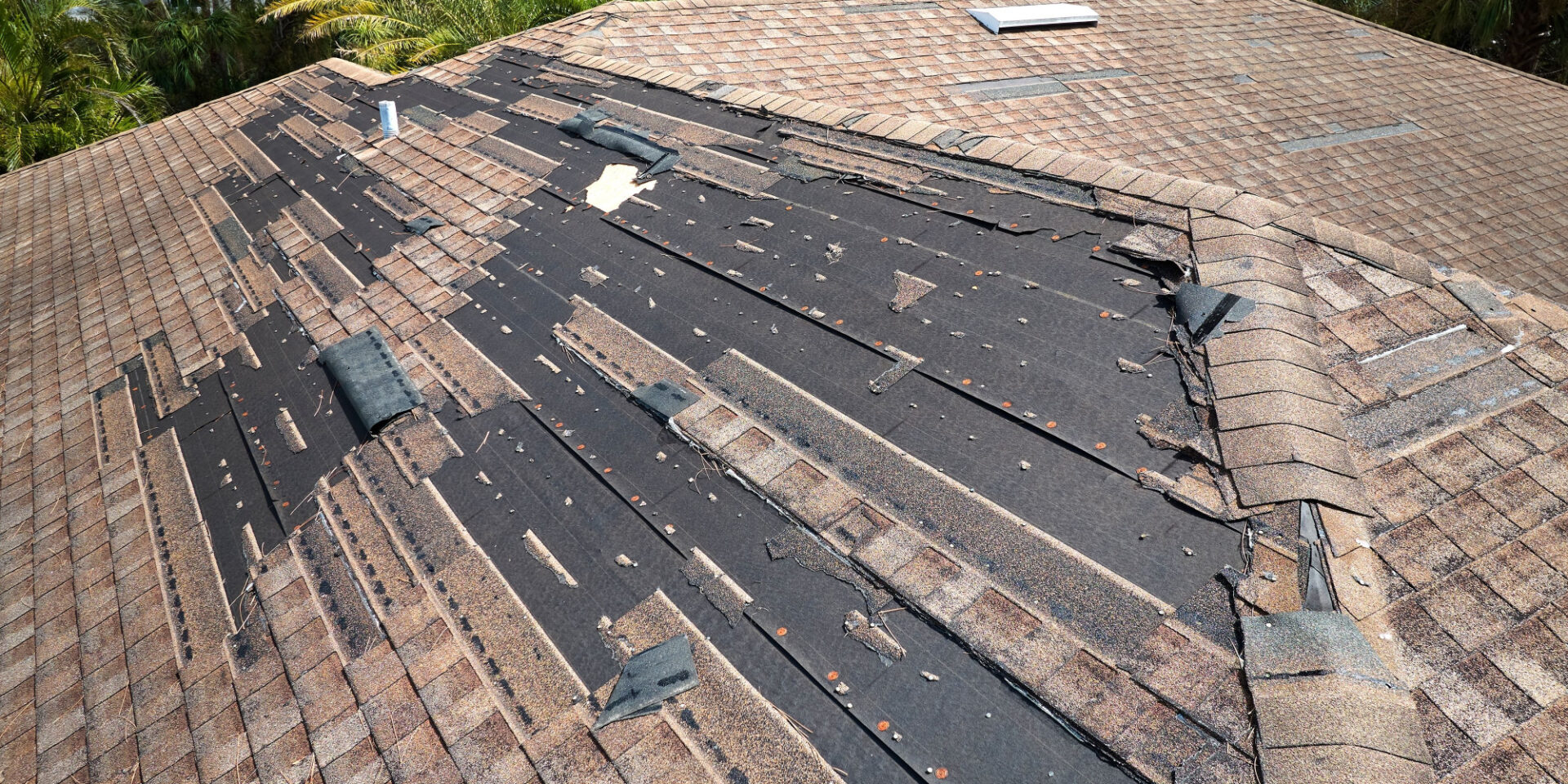 Roof Repair Professionals in Tampa