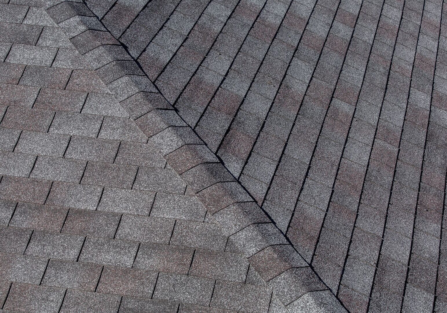 Roofing Types Asphalt Shingles in Clearwater